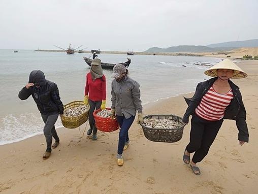 Pho thu tuong: Som cong bo bien mien Trung bao gio an toan hinh anh