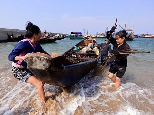 Quoc hoi khong giam sat chuyen de ve Formosa hinh anh