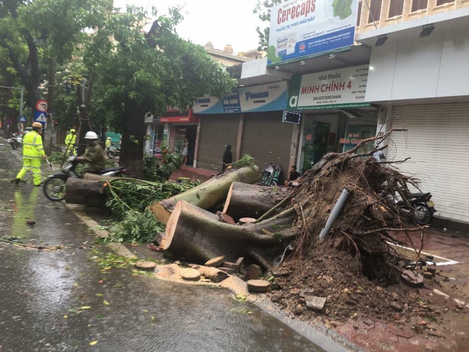 Ha Noi: Mot nguoi chet, 5 bi thuong do bao Mirinae hinh anh