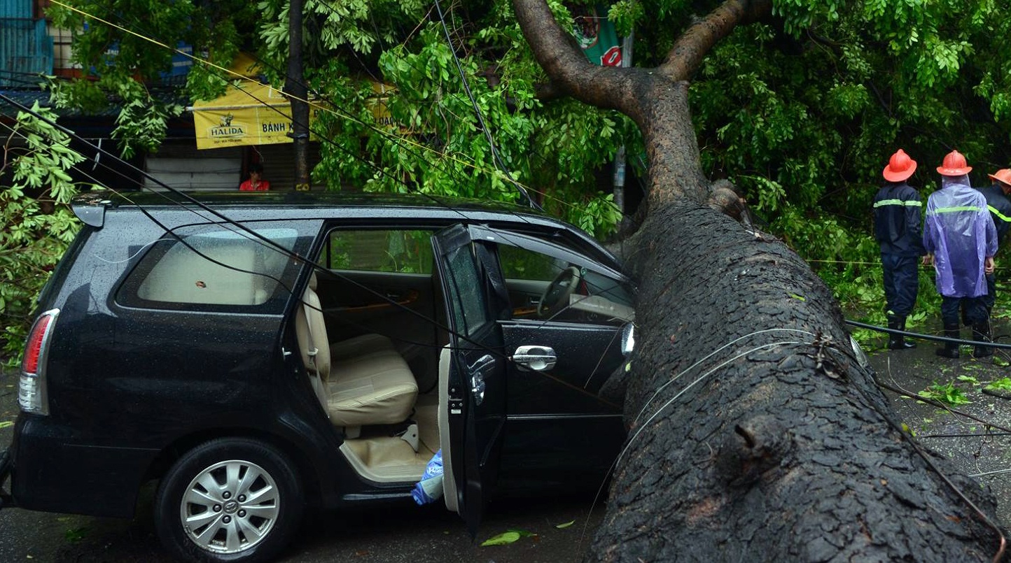 Dap cua, bo cuu con gai thoat khoi xe bi cay co thu do trung hinh anh