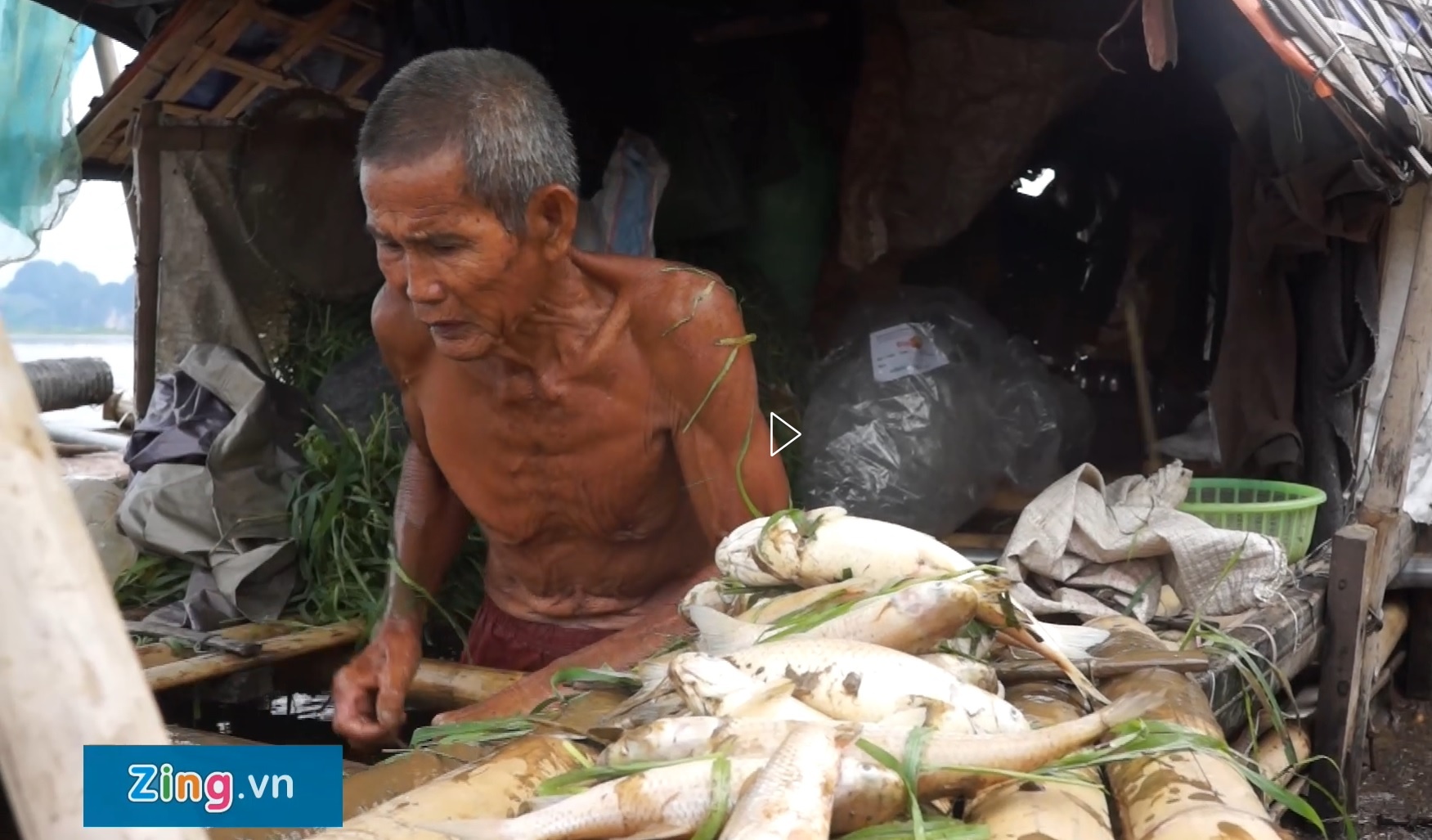 Ca chet hang loat tren song Ma hinh anh