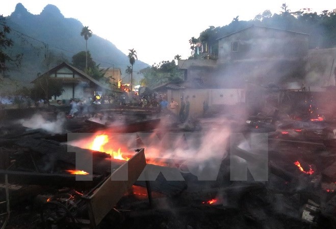 Hoa hoan thieu rui 11 nha san lam tu go quy hinh anh