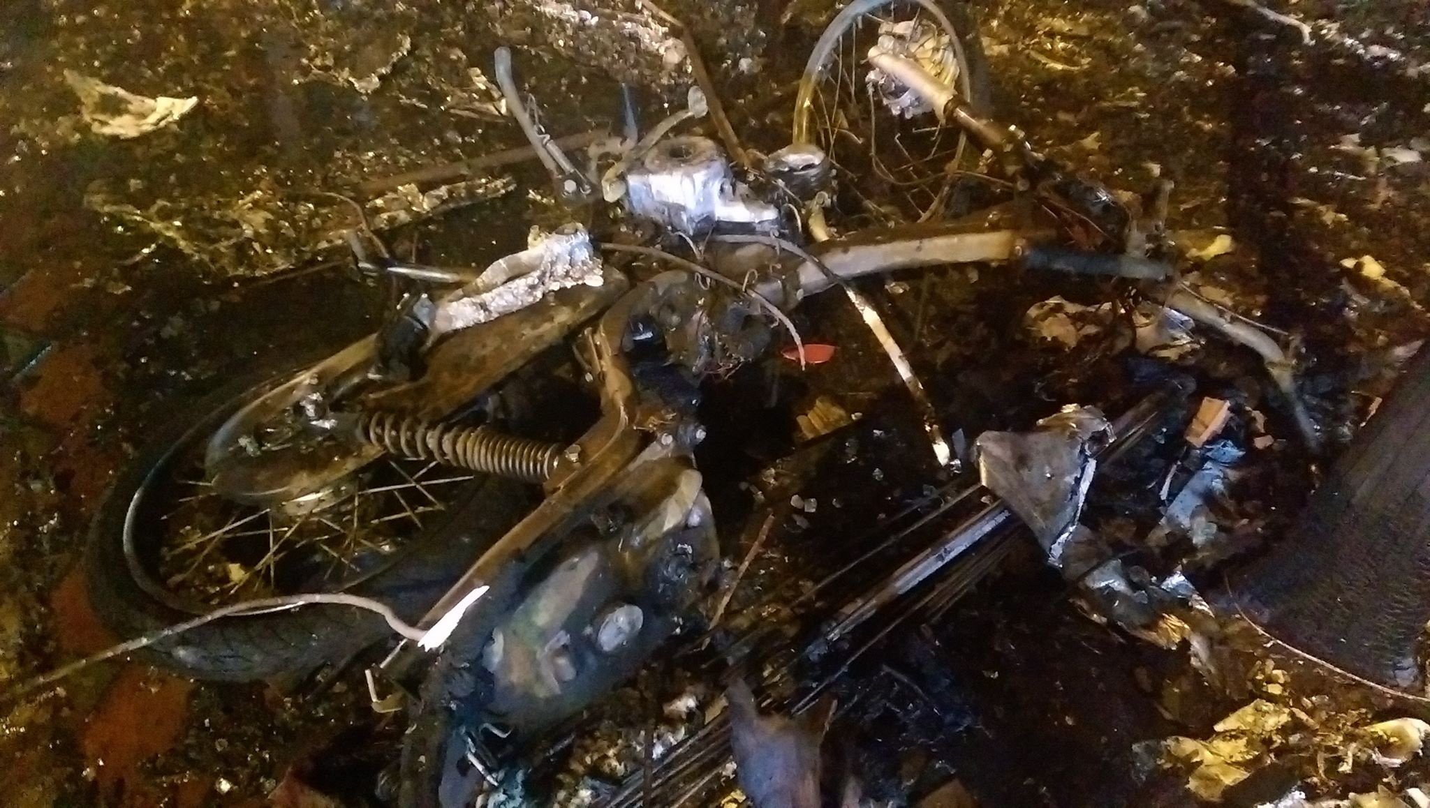 Cháy Trần Thái Tông ảnh 7 Chay Tran Thai Tong anh 7