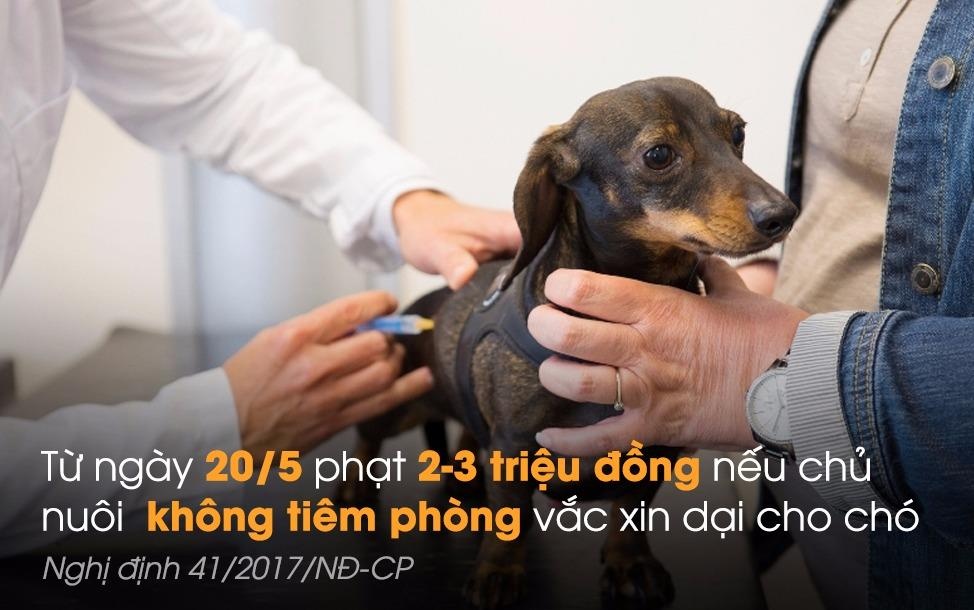 Chinh sach noi bat co hieu luc tu thang 5 hinh anh