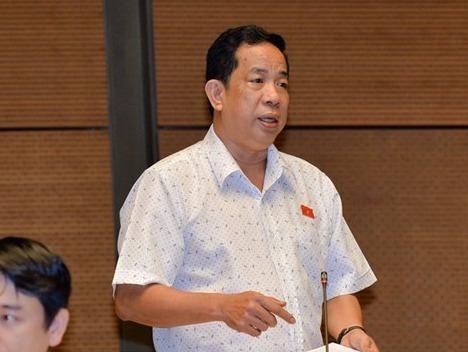 Dai bieu Dang Thuan Phong phat bieu tai phien thao luan sang 9/6 hinh anh