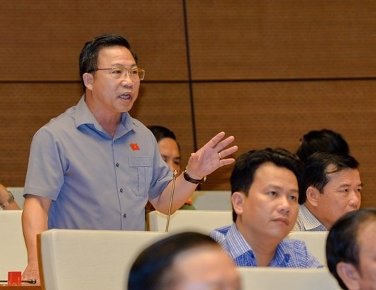 Dai bieu tranh luan voi Tong Thanh tra Chinh phu ve vu Dong Tam hinh anh