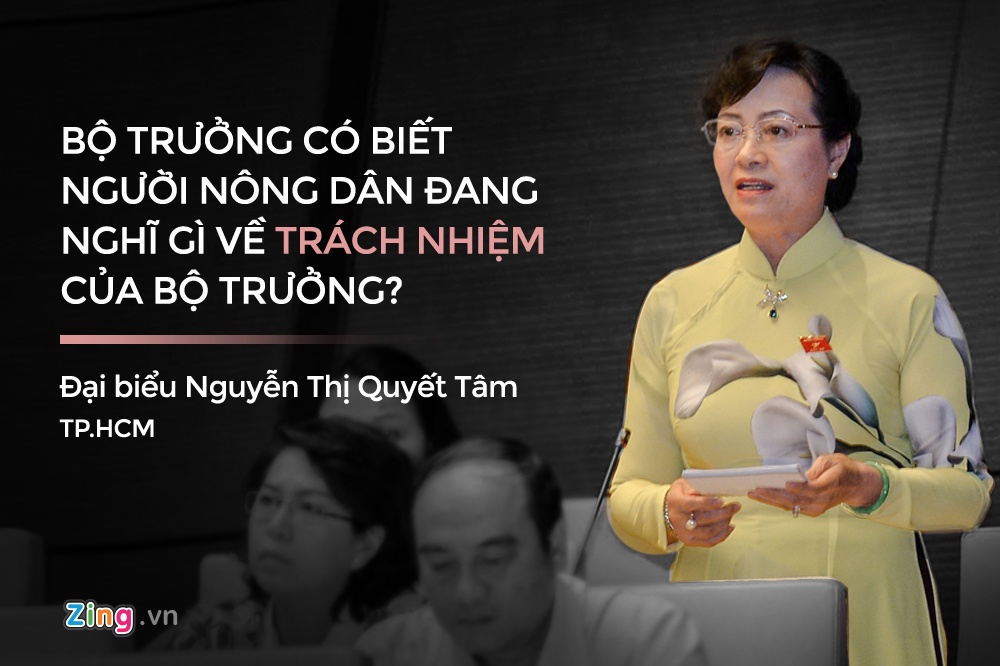 toan canh phien chat van tai Quoc hoi anh 2