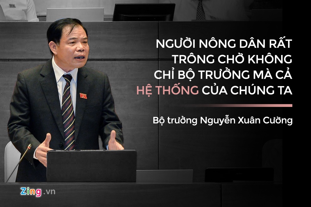 toan canh phien chat van tai Quoc hoi anh 3