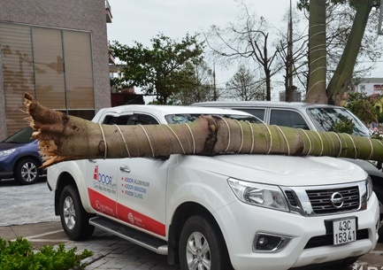 Bao vao Nghe An - Ha Tinh, cay do, nhieu nha toc mai hinh anh