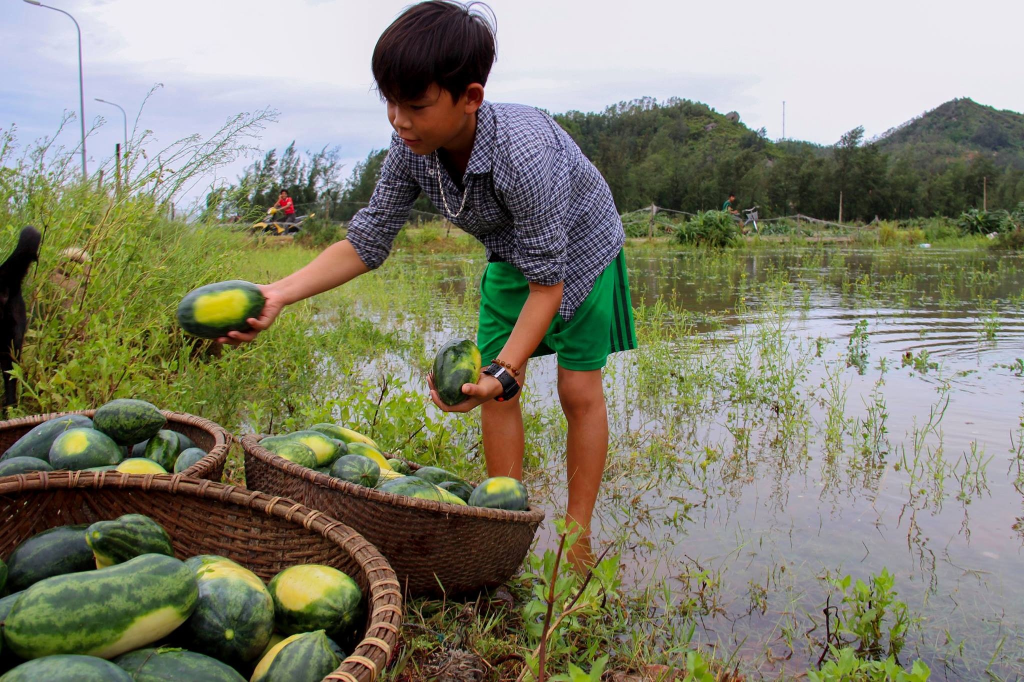 bao so 2 vao Nghe An anh 9