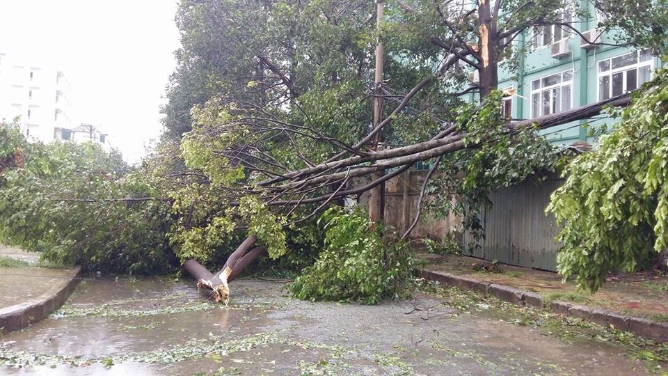 bao so 2 vao Nghe An anh 5