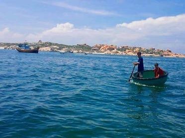 Dinh chi giam doc don vi tu van du an nhan chim 1 trieu m3 bun hinh anh