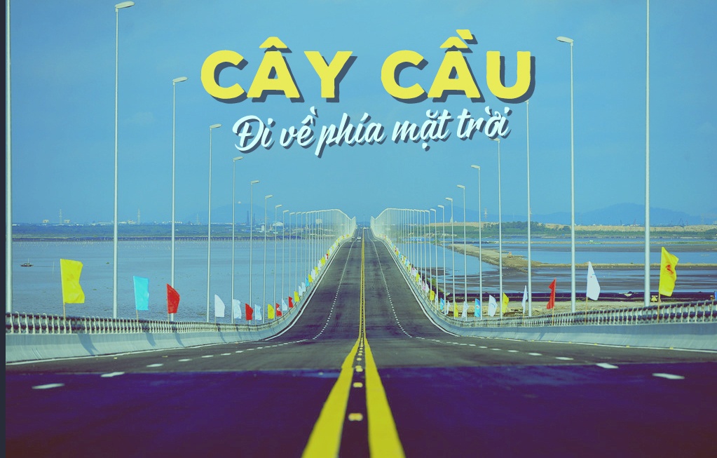 cau vuot bien dai nhat Viet Nam anh 2