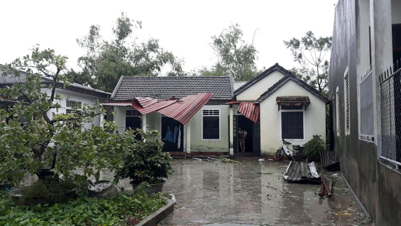 bao so 10 do bo vao dat lien anh 6