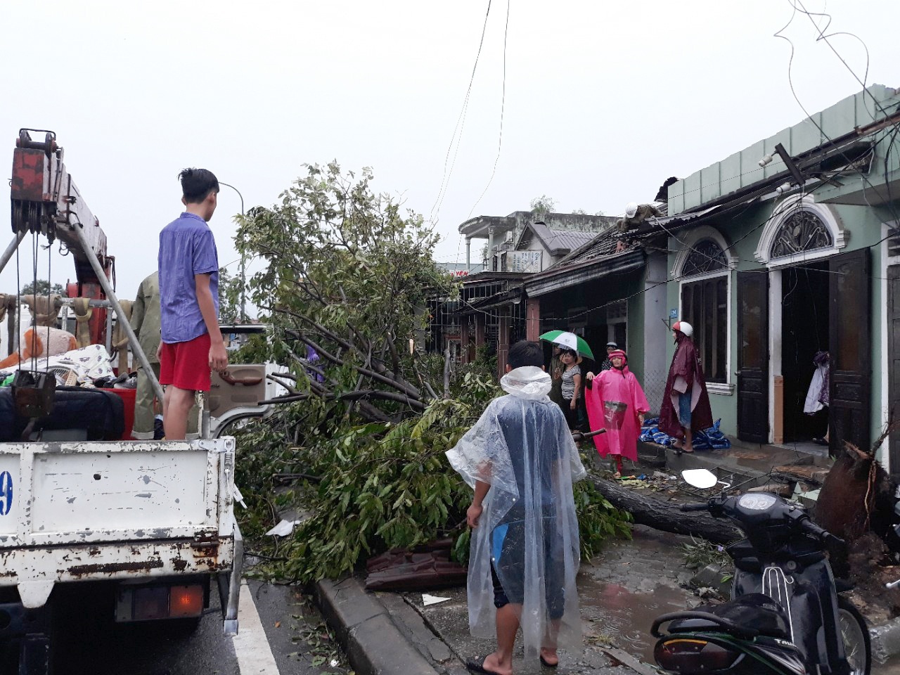 bao so 10 do bo vao dat lien anh 3