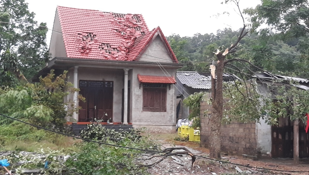 bao so 10 do bo vao dat lien anh 9