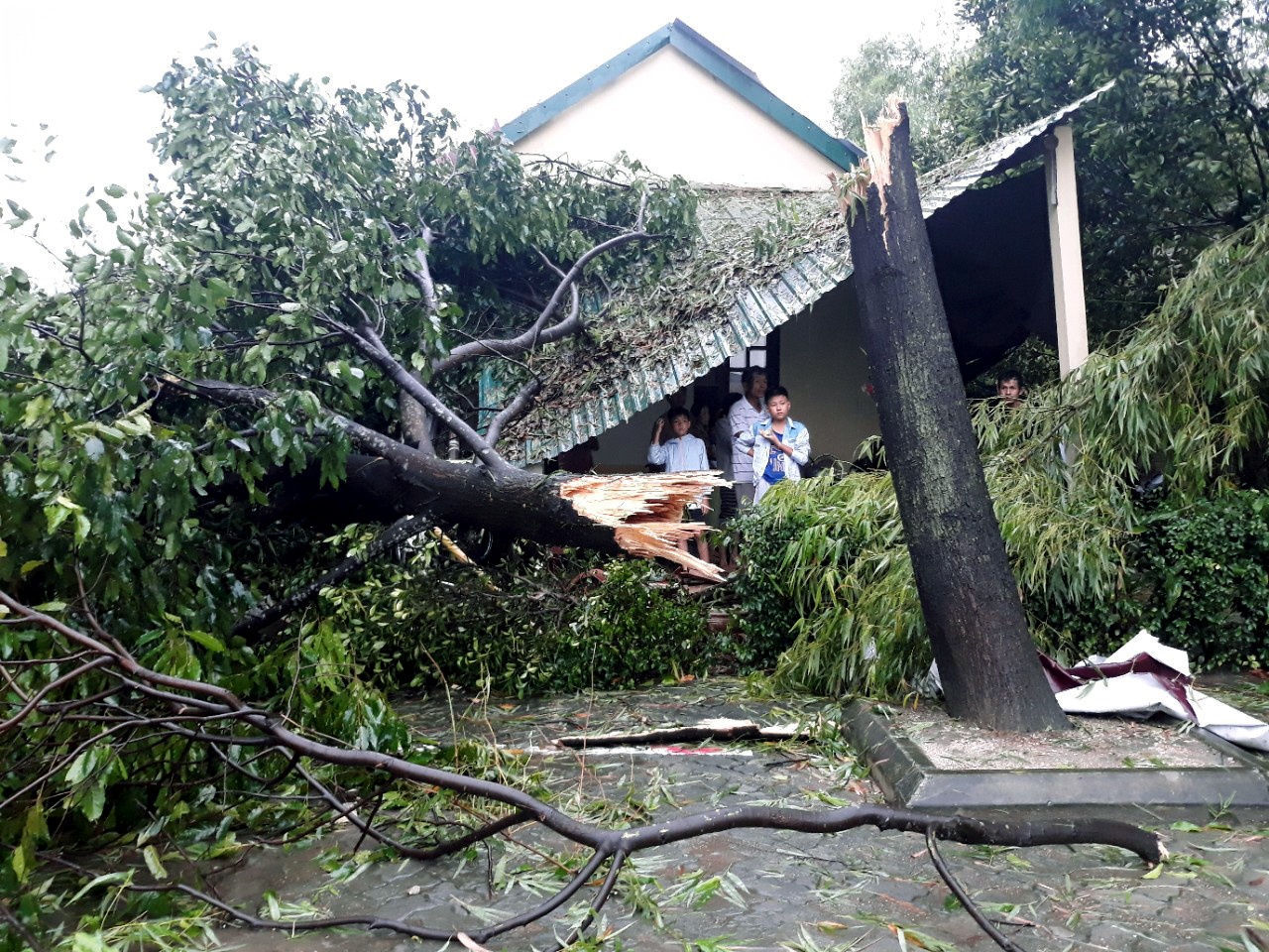 bao so 10 do bo vao dat lien anh 1