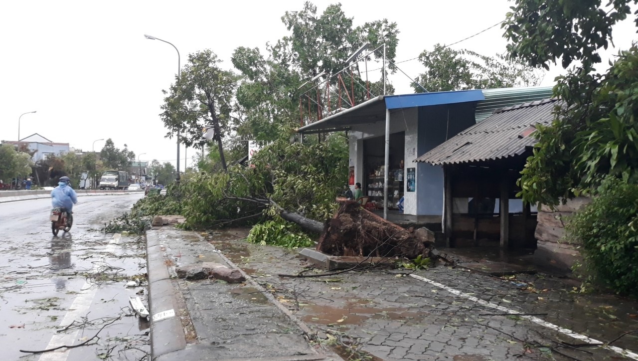 bao so 10 do bo vao dat lien anh 2