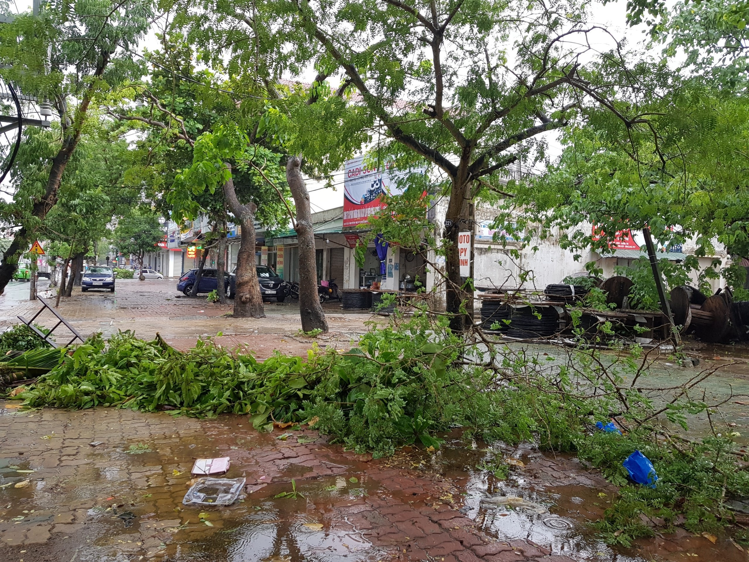 bao so 10 do bo vao dat lien anh 13