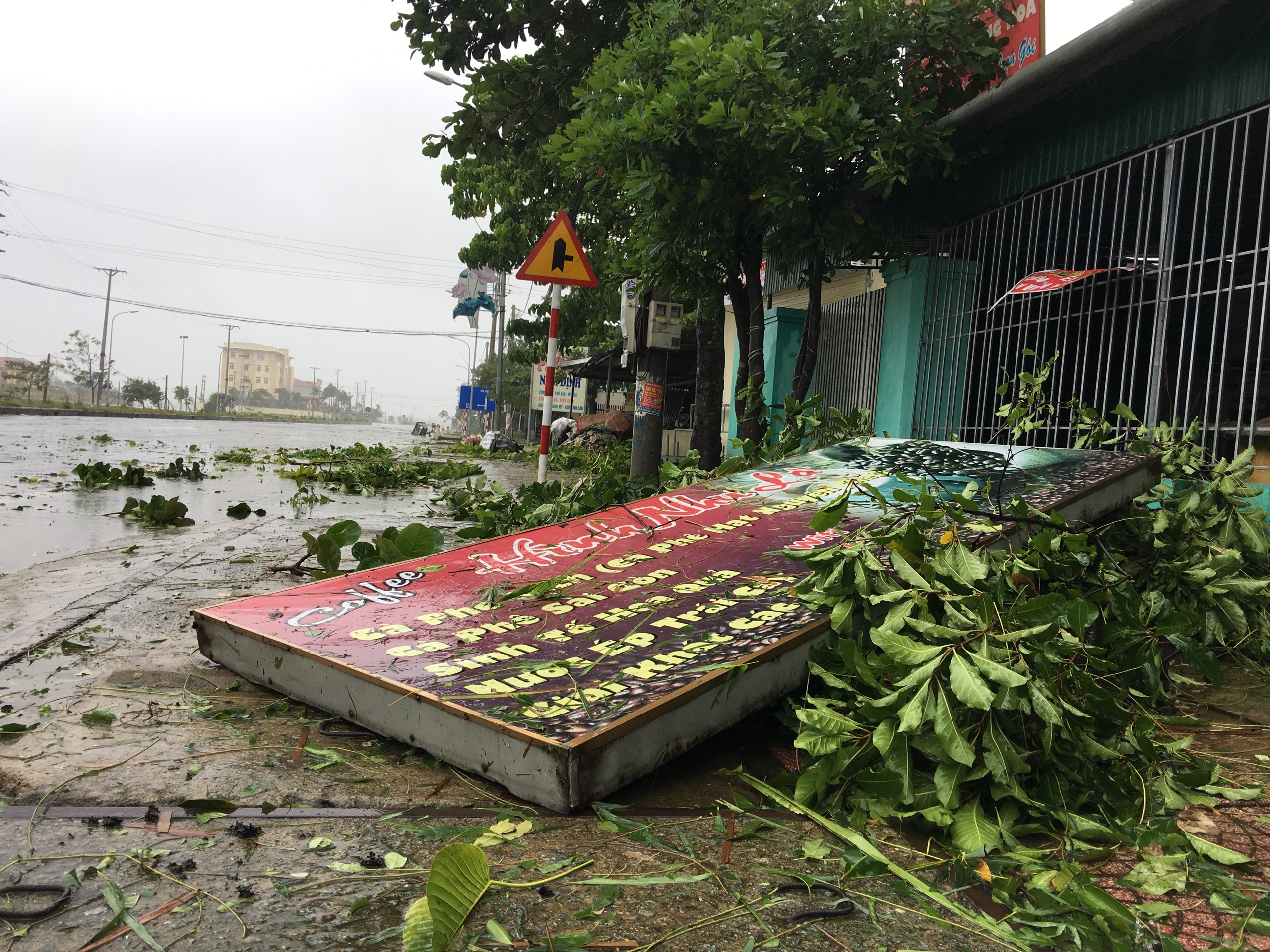 bao so 10 do bo vao dat lien anh 12