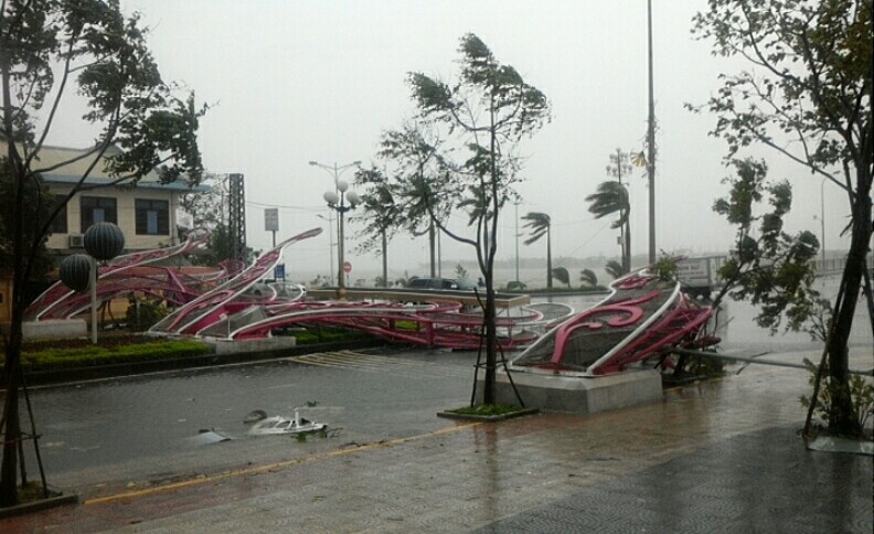 bao so 10 do bo vao dat lien anh 14