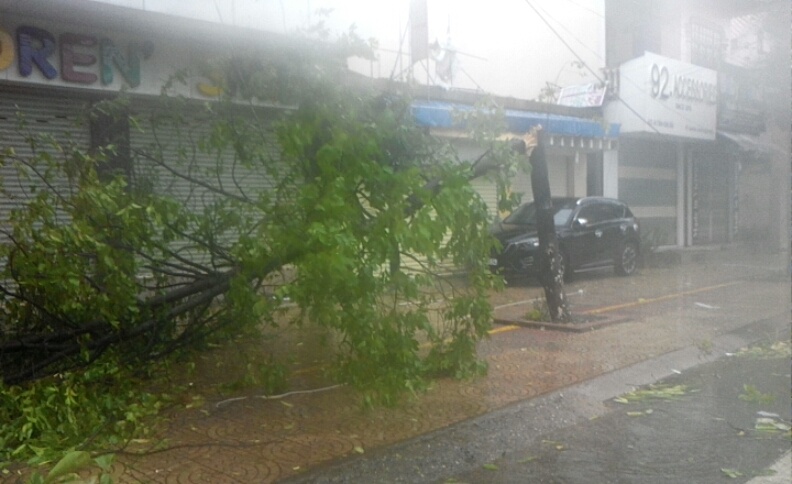 bao so 10 do bo vao dat lien anh 16