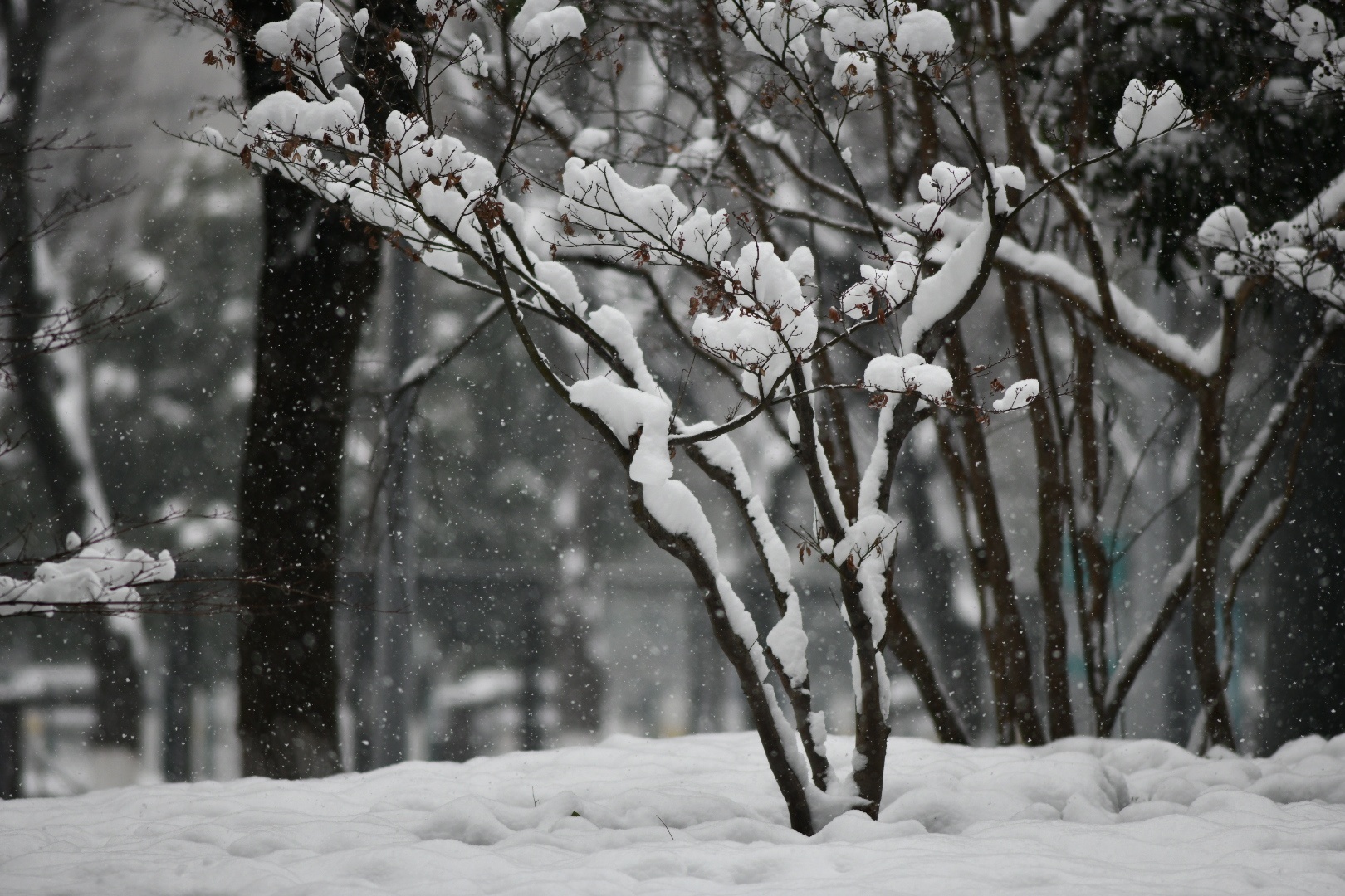 U23 Việt Nam ảnh 21 U23 Viet Nam anh 21