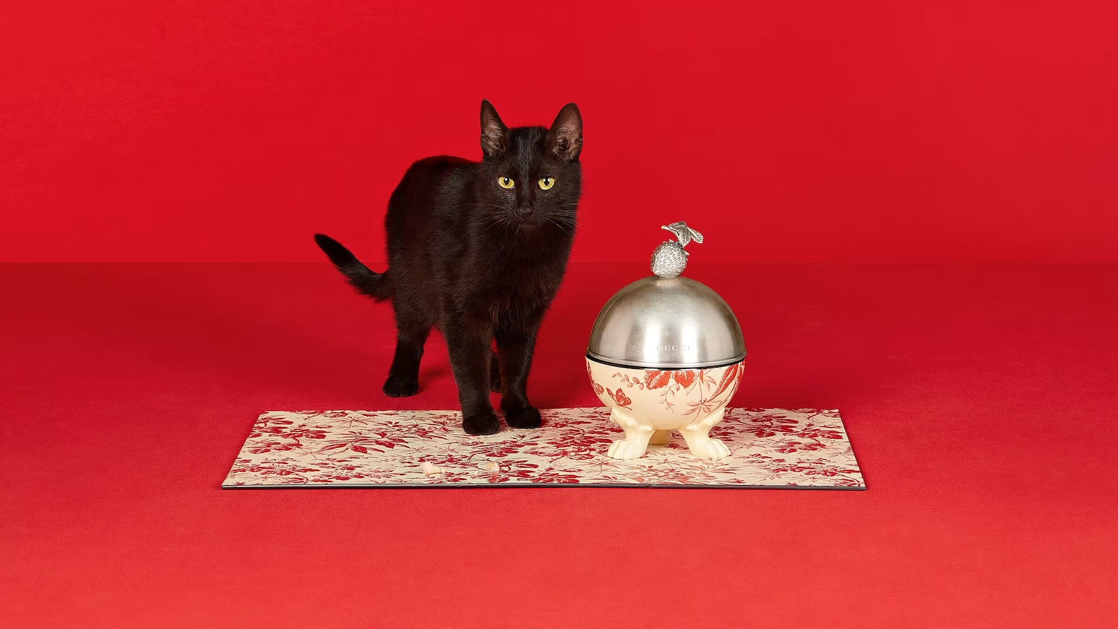 thoi trang thu cung anh 7