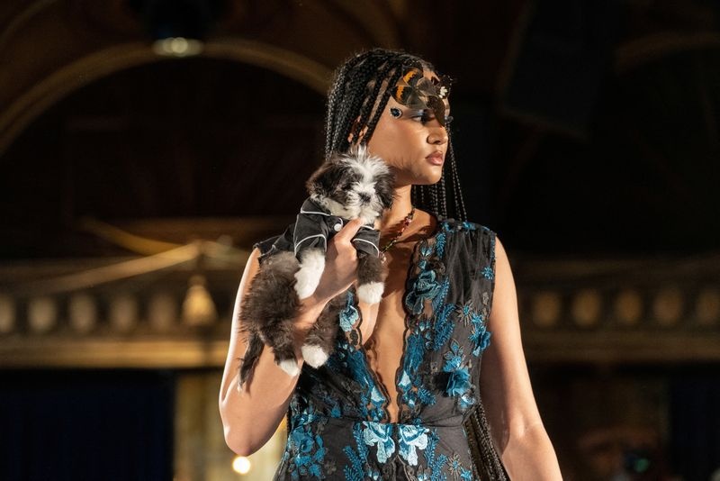 Cho tro thanh nguoi mau hinh anh