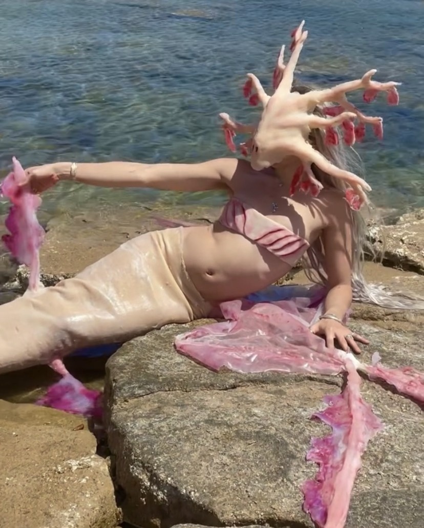 bo suu tap ky di anh 4