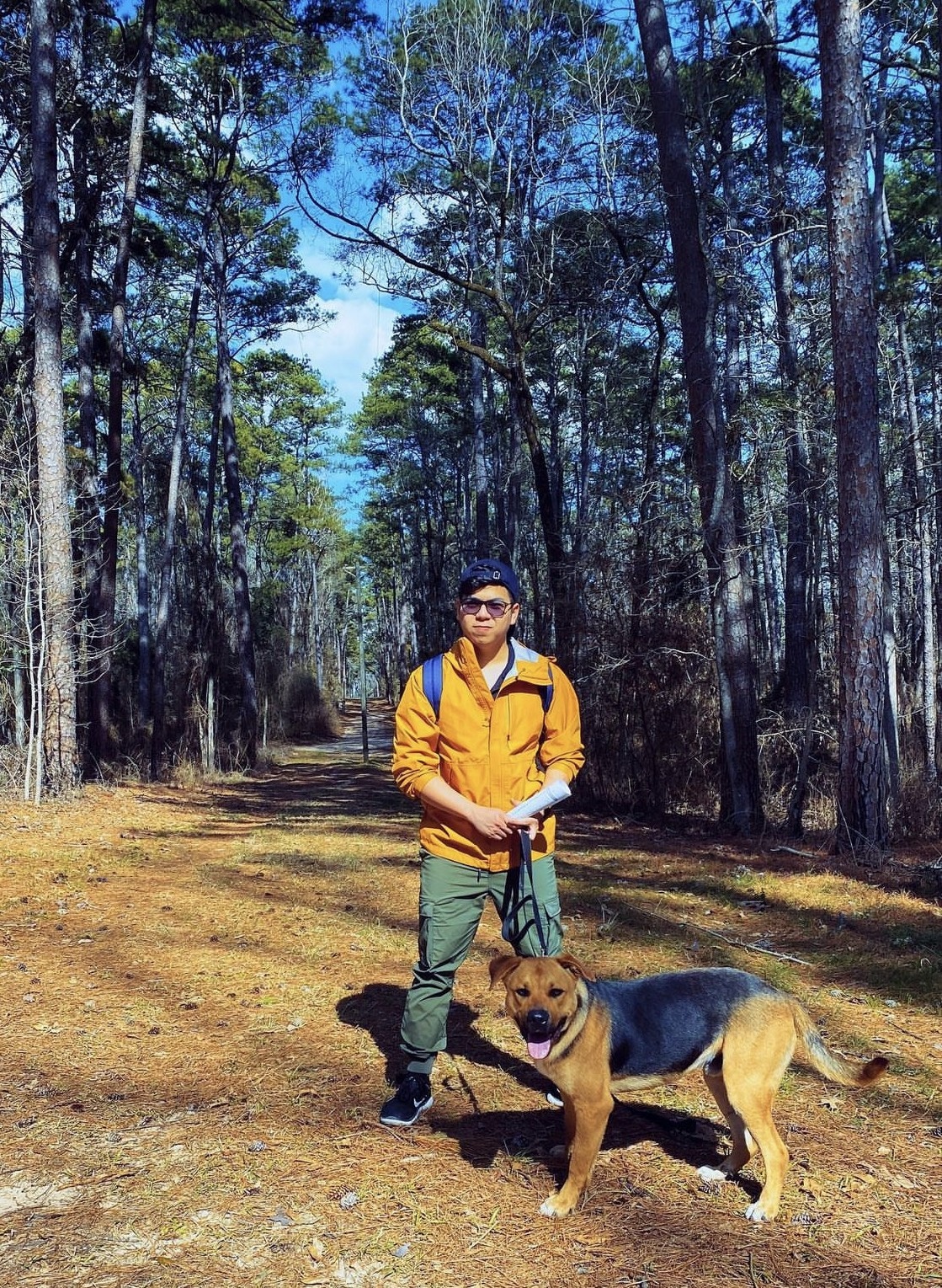 nhan vien van phong anh 4