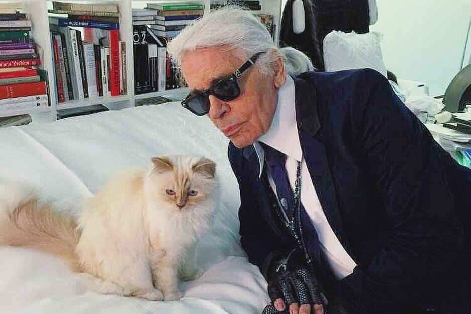 Do giau co, noi tieng cua chu meo duoc hoa trang o Met Gala 2023 hinh anh