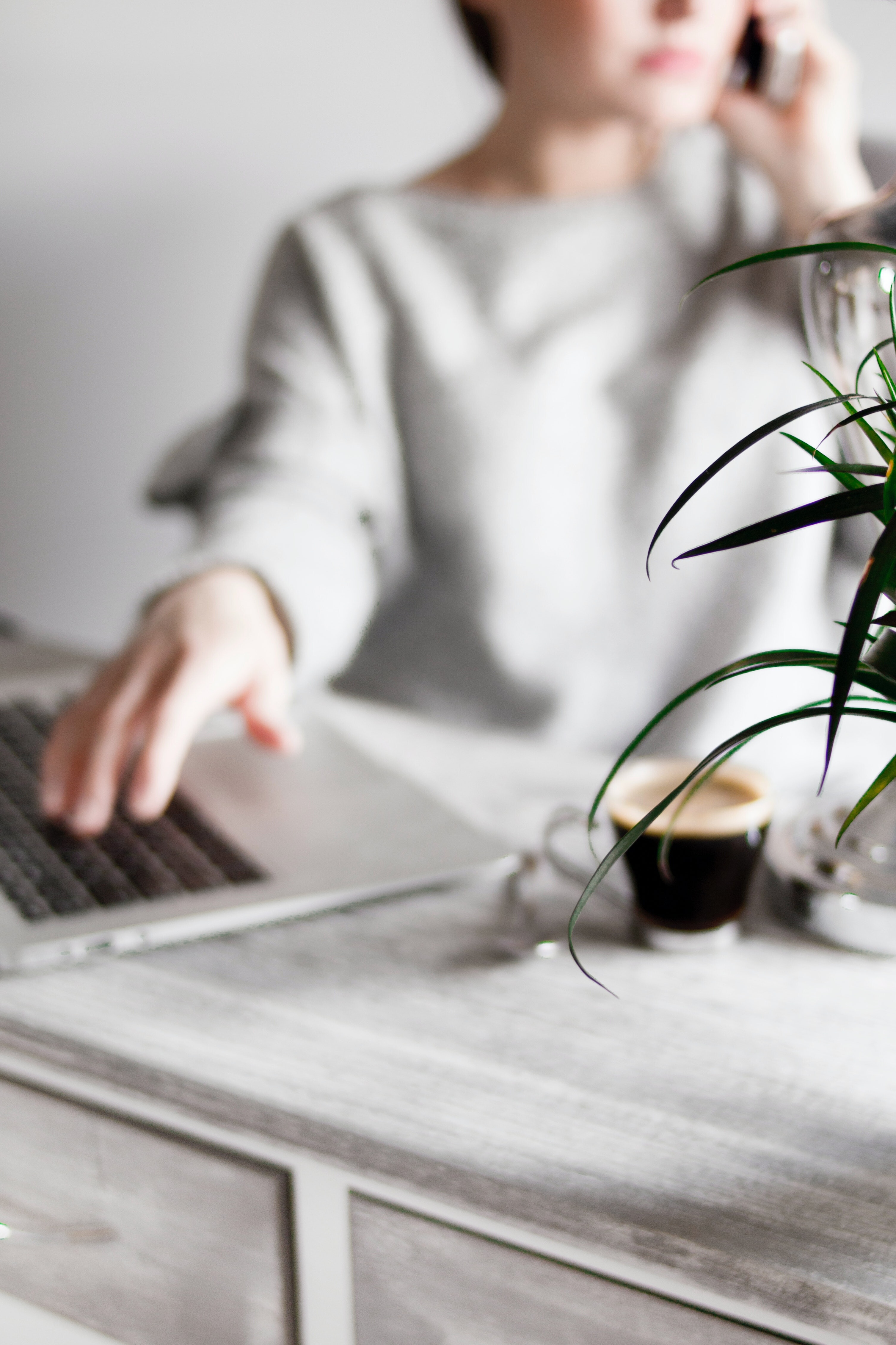 sick guilt ảnh 3 sick guilt anh 3