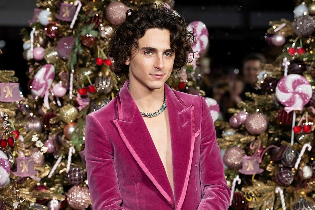 Timothee Chalamet lai dien vest ho nguc hinh anh