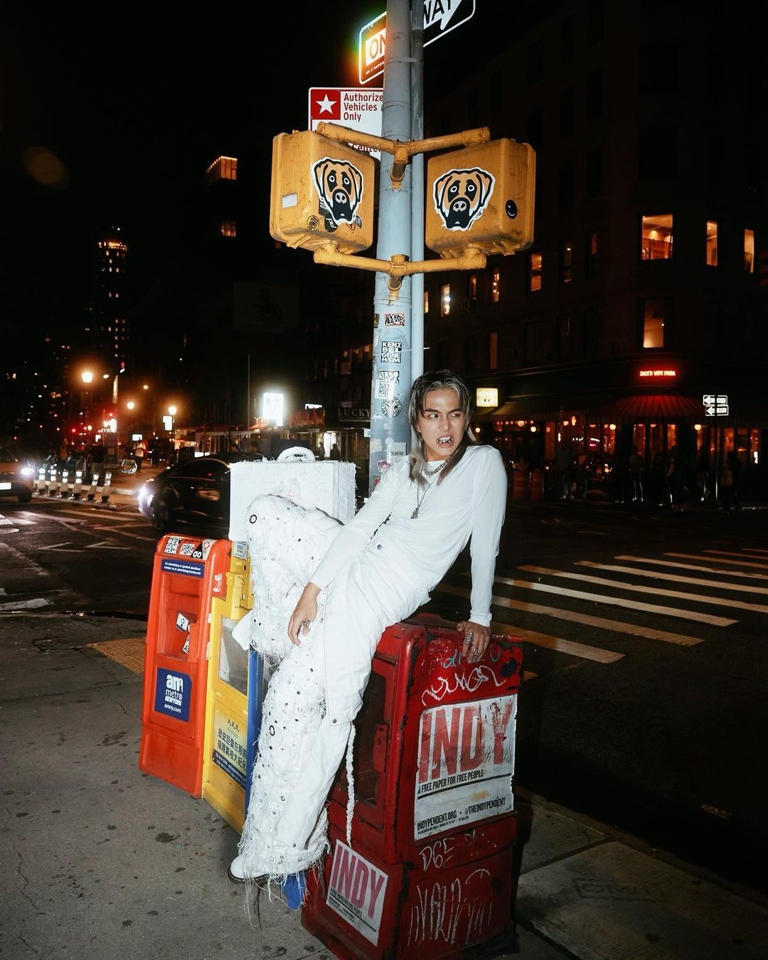 tham hoa thoi trang anh 5