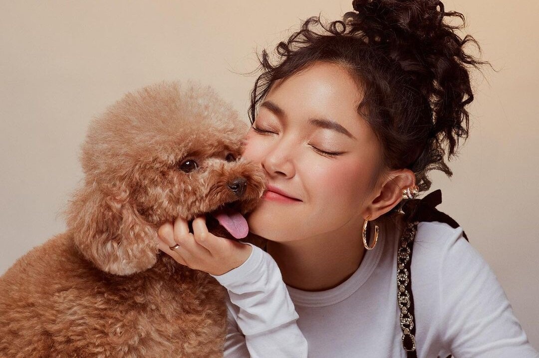 Di lam ca thang chi de mua do doi voi cho, meo hinh anh