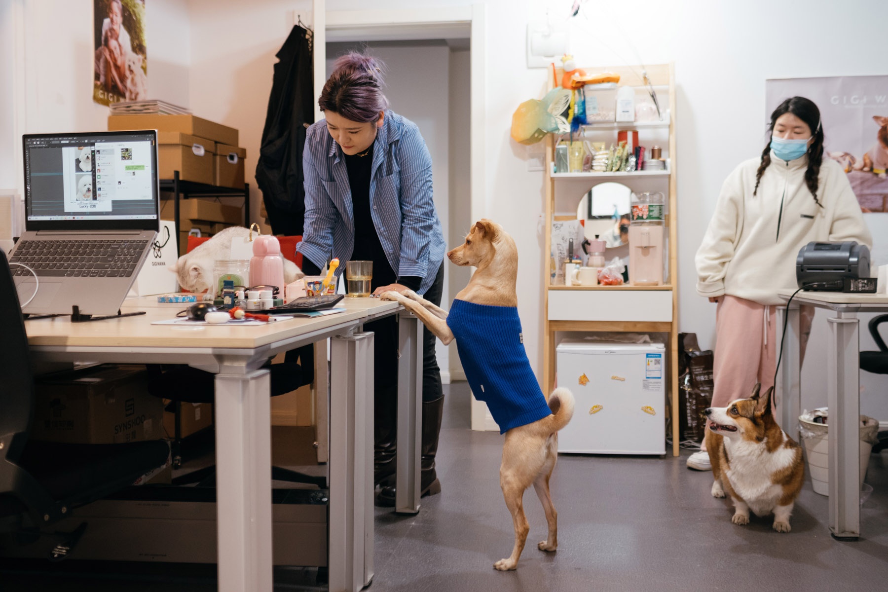 thoi trang thu cung anh 8