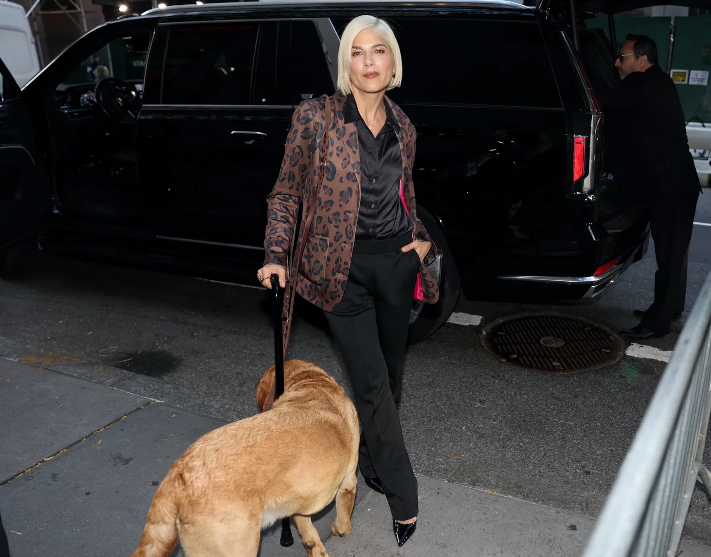 hoa tiet da bao anh 7