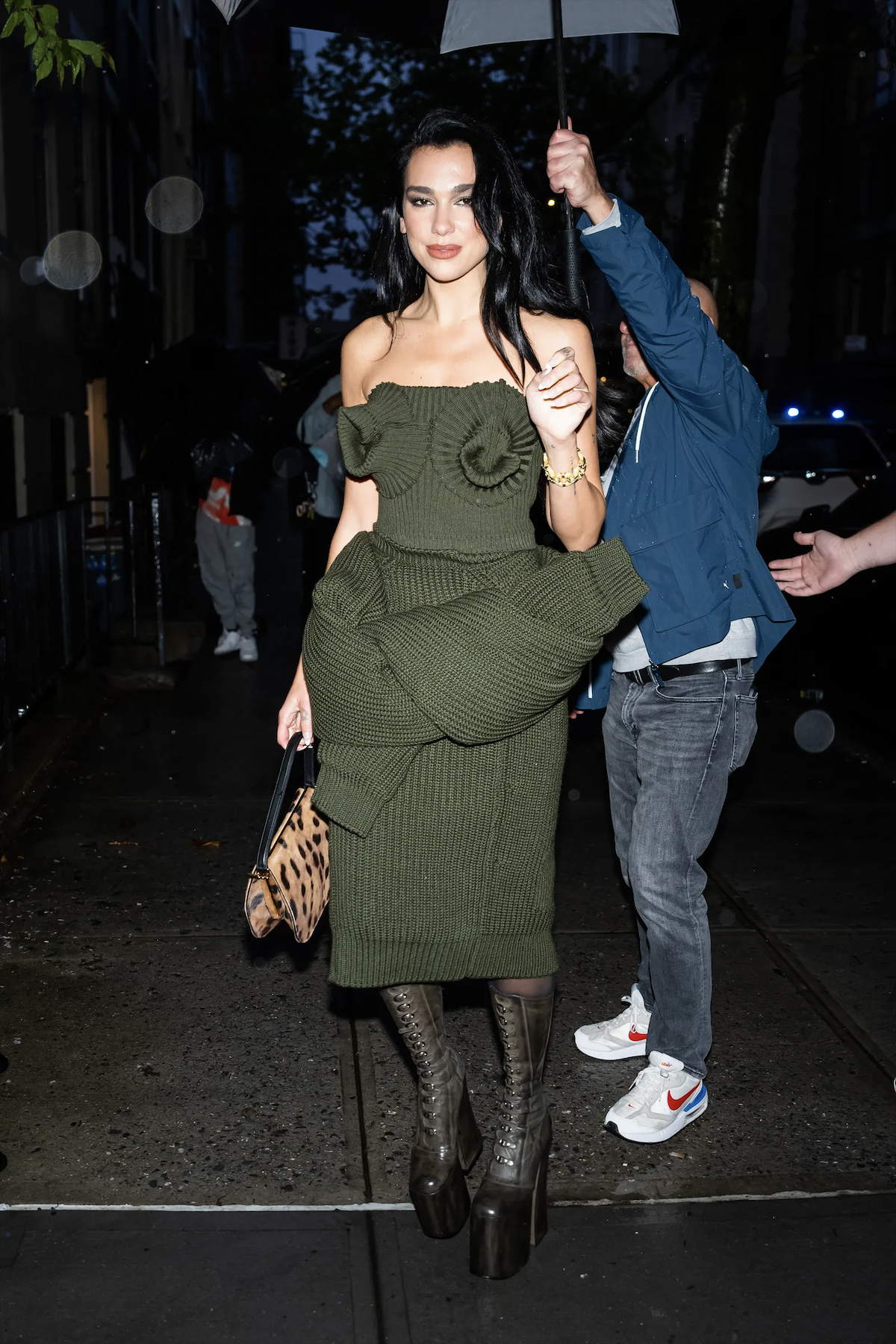 hoạ tiết da báo ảnh 9 hoa tiet da bao anh 9