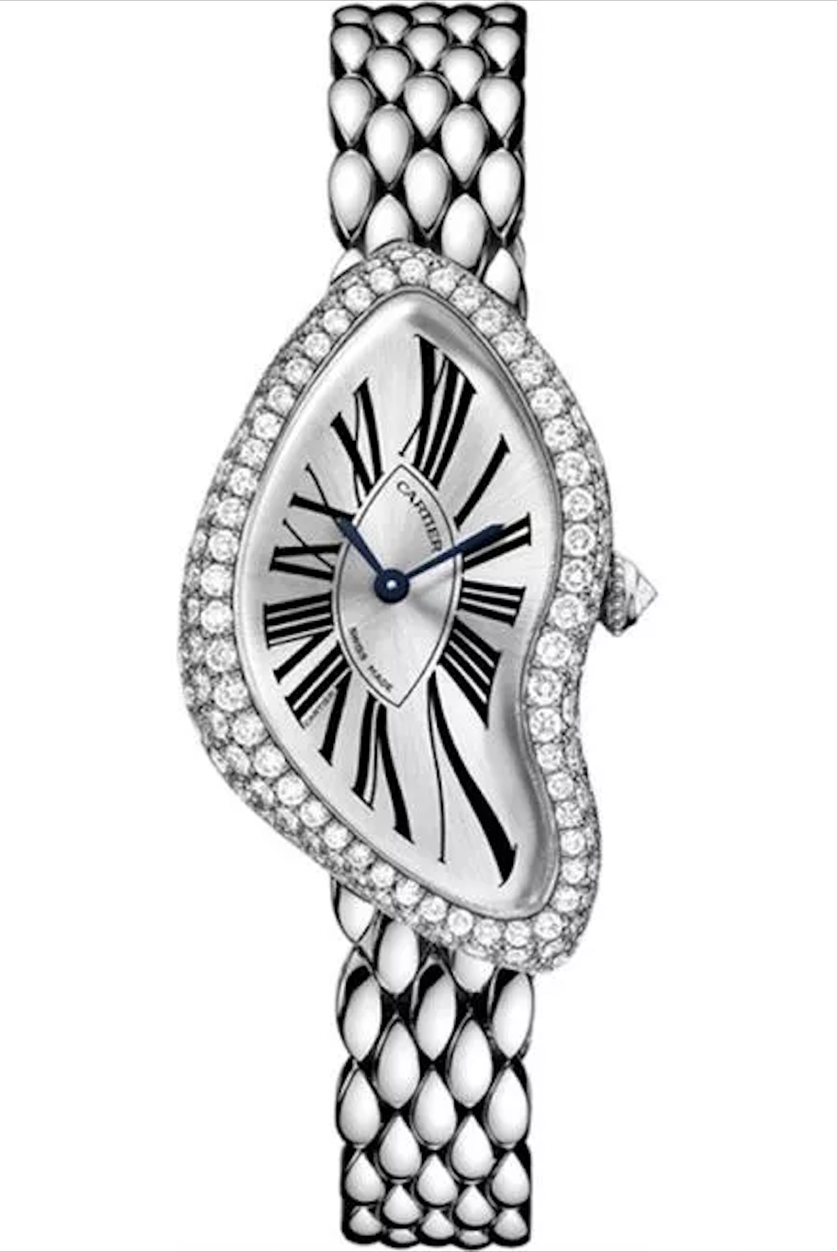 Timothee Chalamet dong ho anh 4