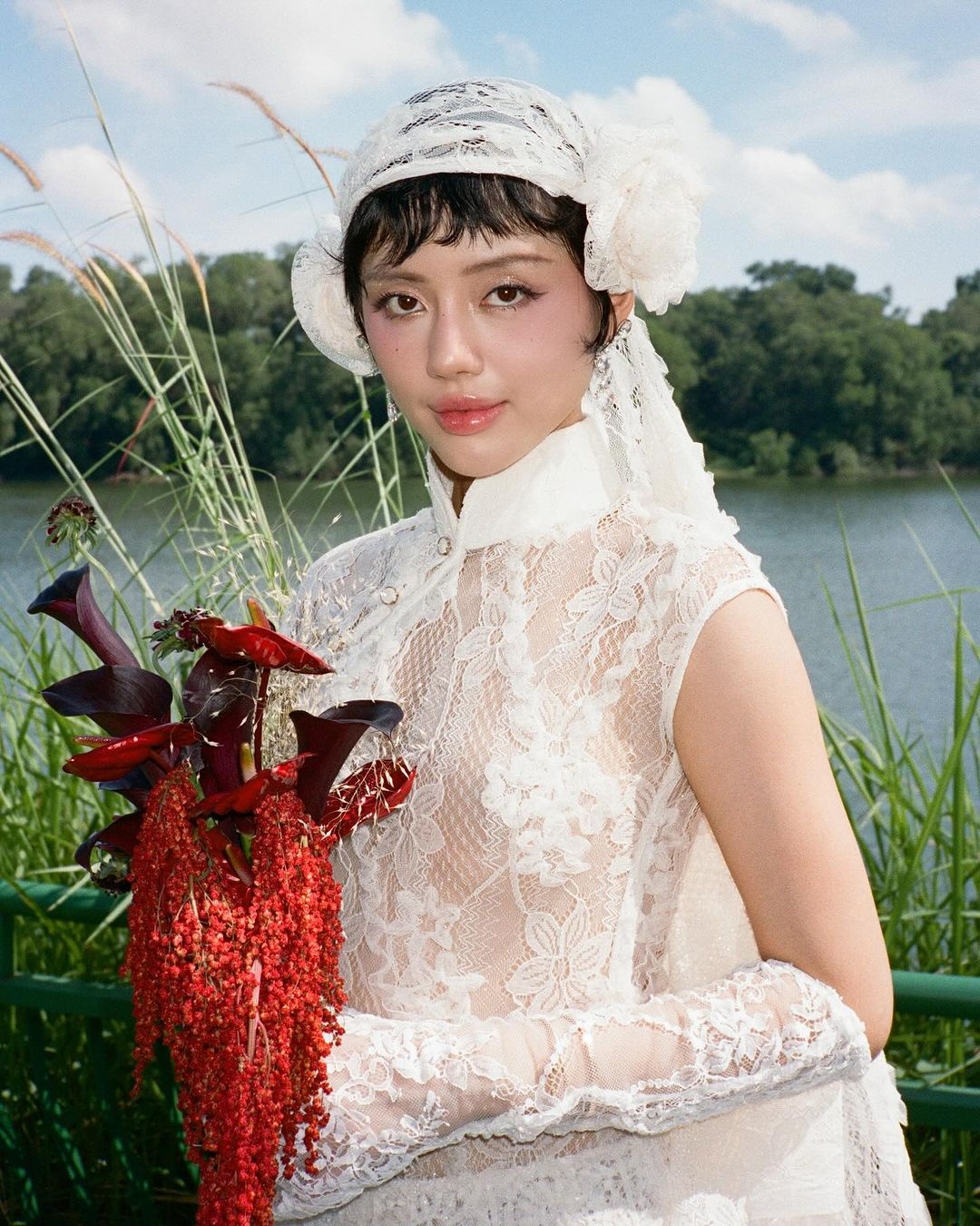 y nghia hoa bi ngan,  mau hoa bi ngan anh 12