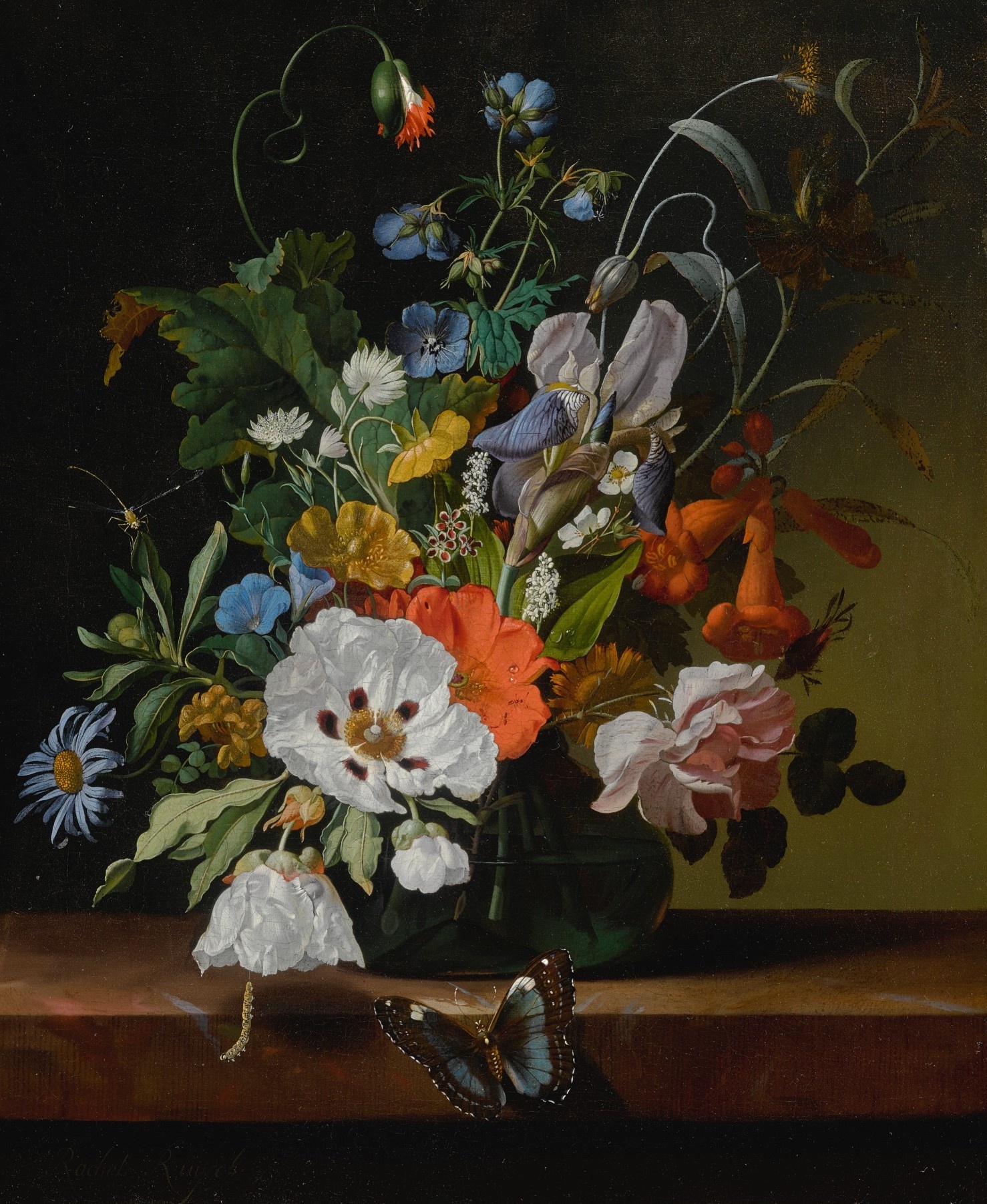 vat vo tri,  tranh tinh vat anh 6