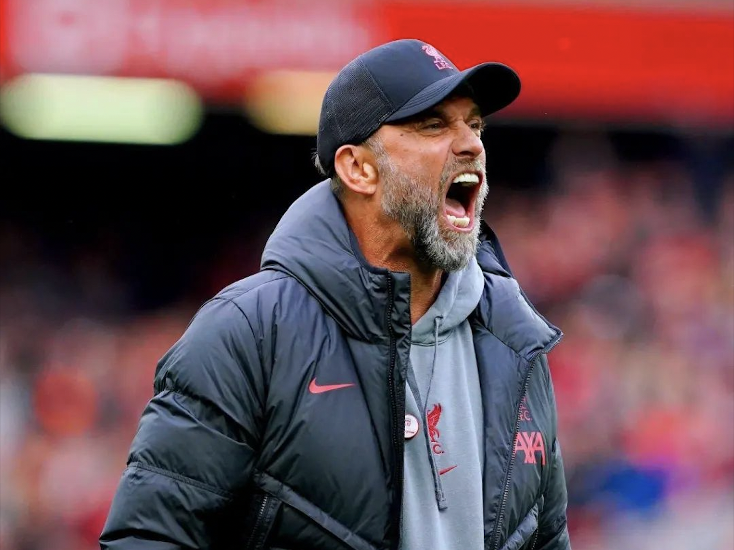 Klopp,  Liverpool ảnh 8 Klopp,  Liverpool anh 8