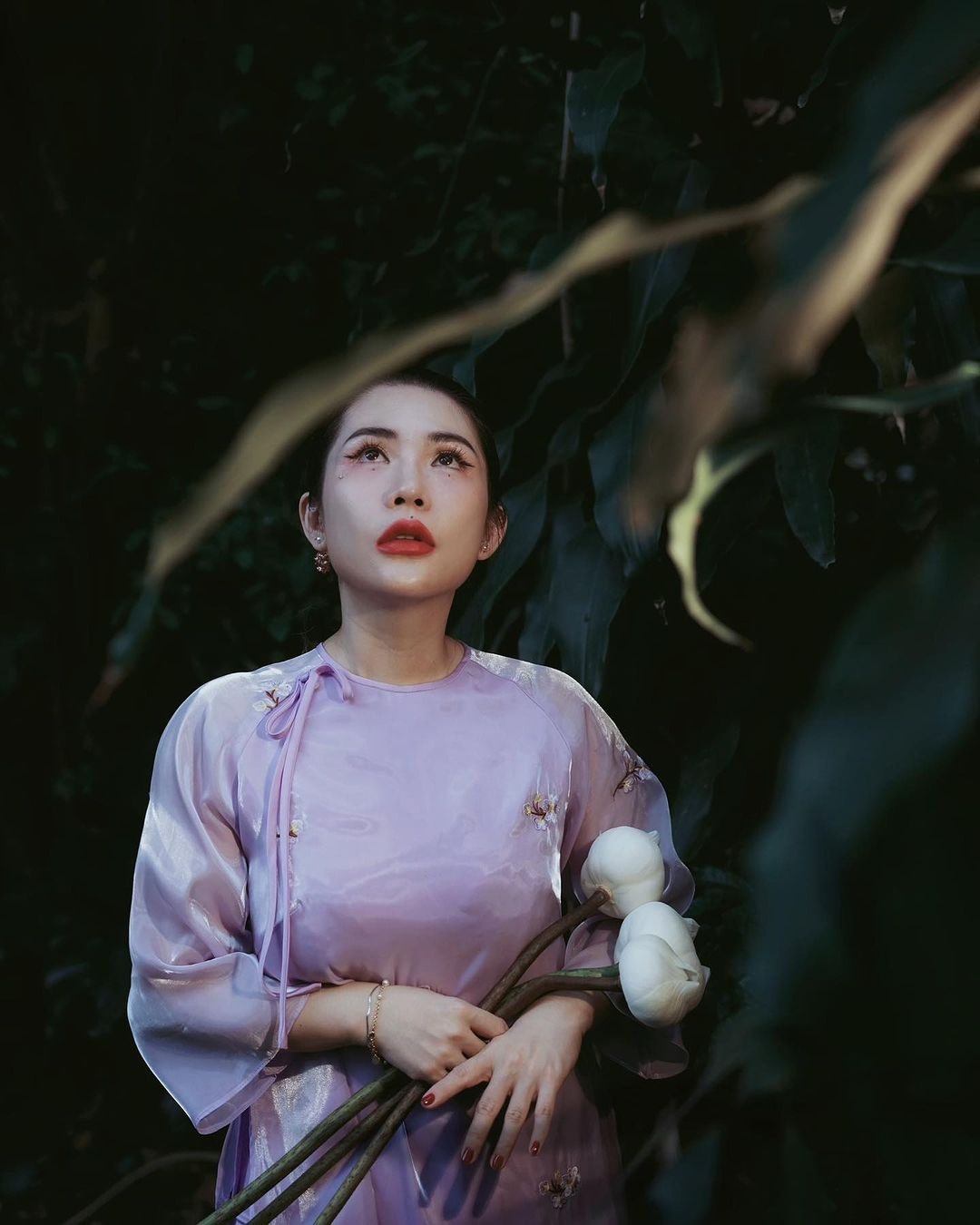 áo dài Tết,  Tết Nguyên đán,  Tết Âm lịch ảnh 2 ao dai Tet,  Tet Nguyen dan,  Tet Am lich anh 2