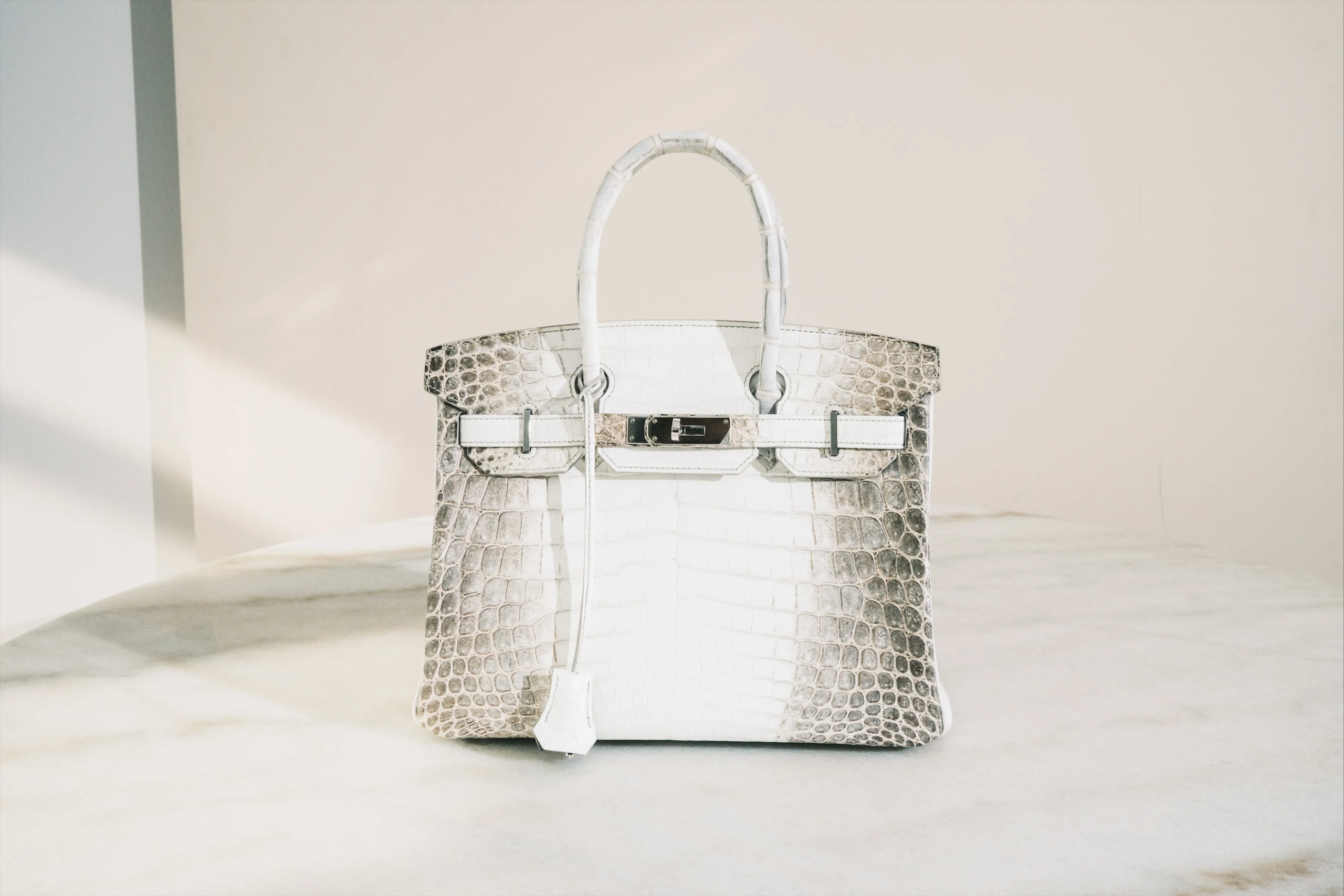 hang gia,  hang nhai,  tui lady dior,  choi do hieu,  hermes birkin anh 3