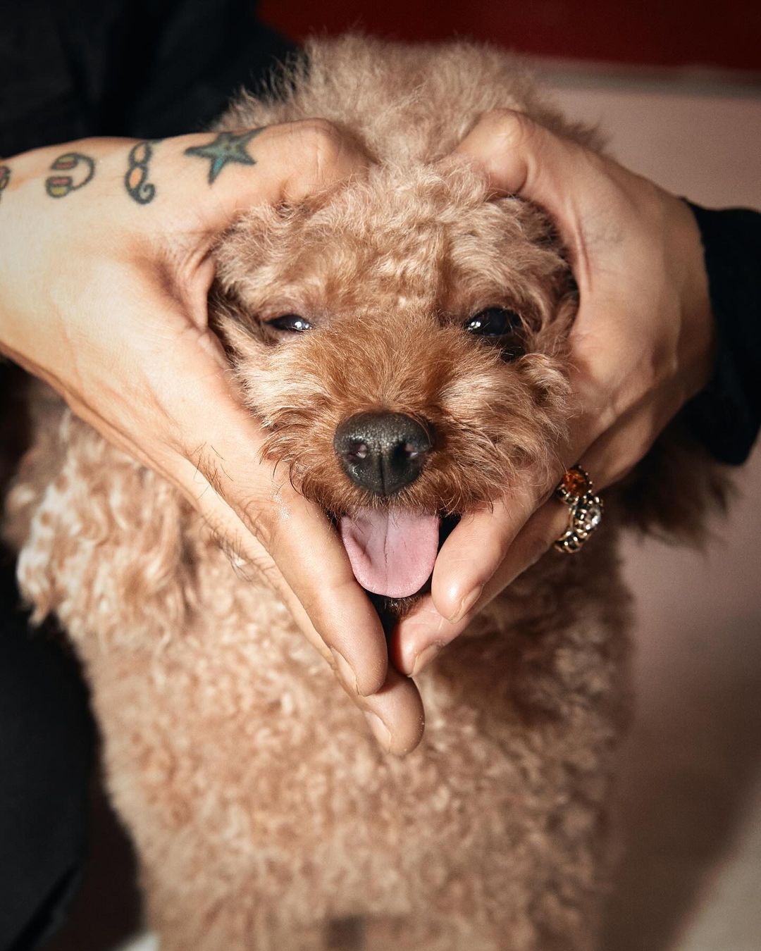 Chau Bui,  Binz,  tuan le thoi trang,  thoi trang quoc te anh 3