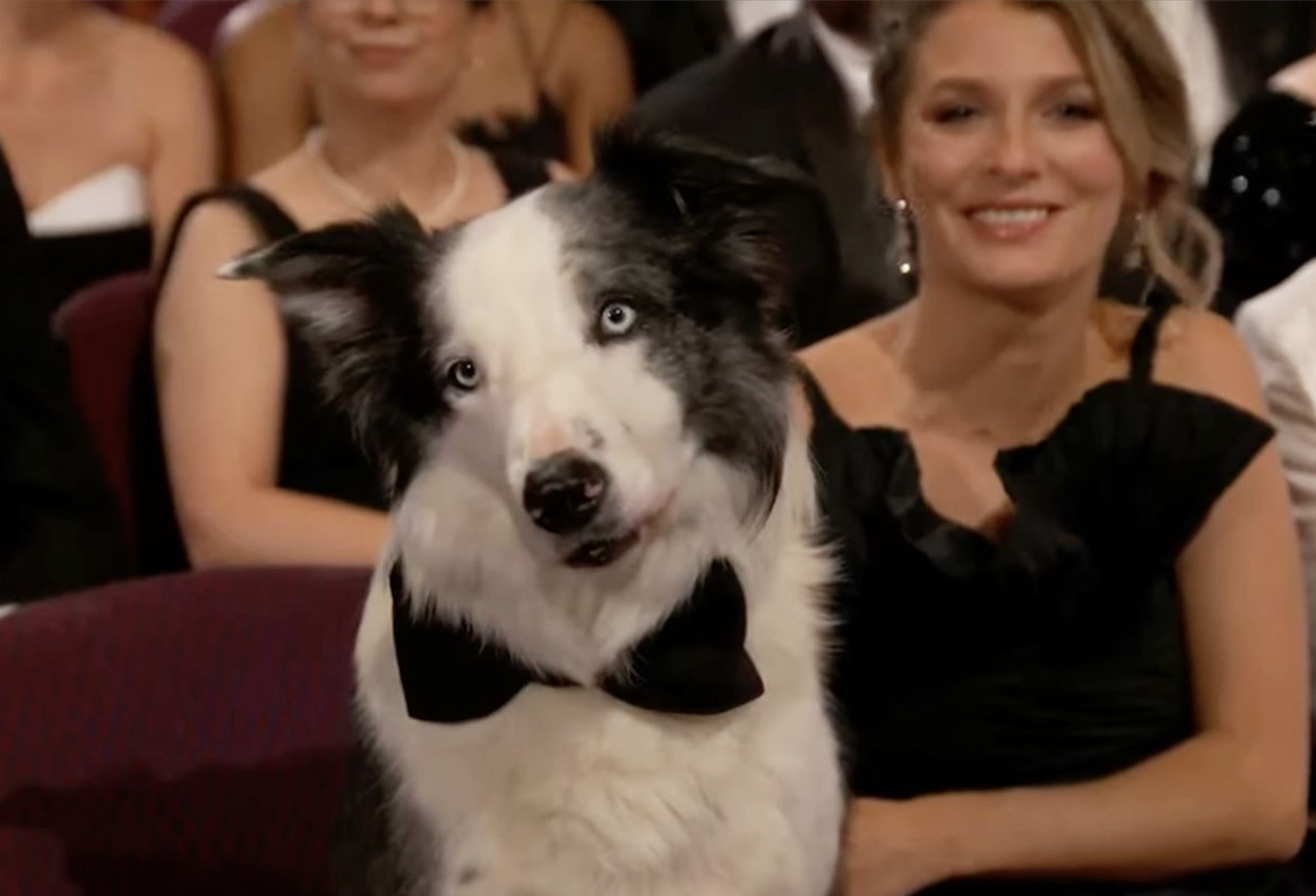 no khong lo,  chu cho Messi,  le trao giai Oscar anh 2