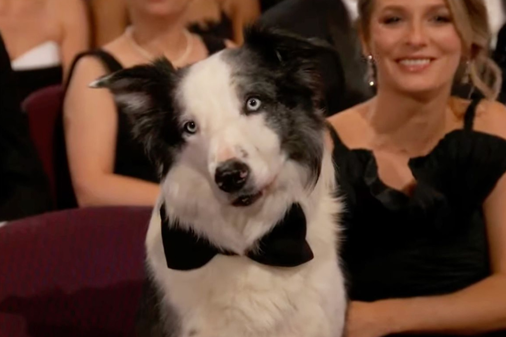 Chu cho Messi dan dau trend 'no khong lo' hinh anh