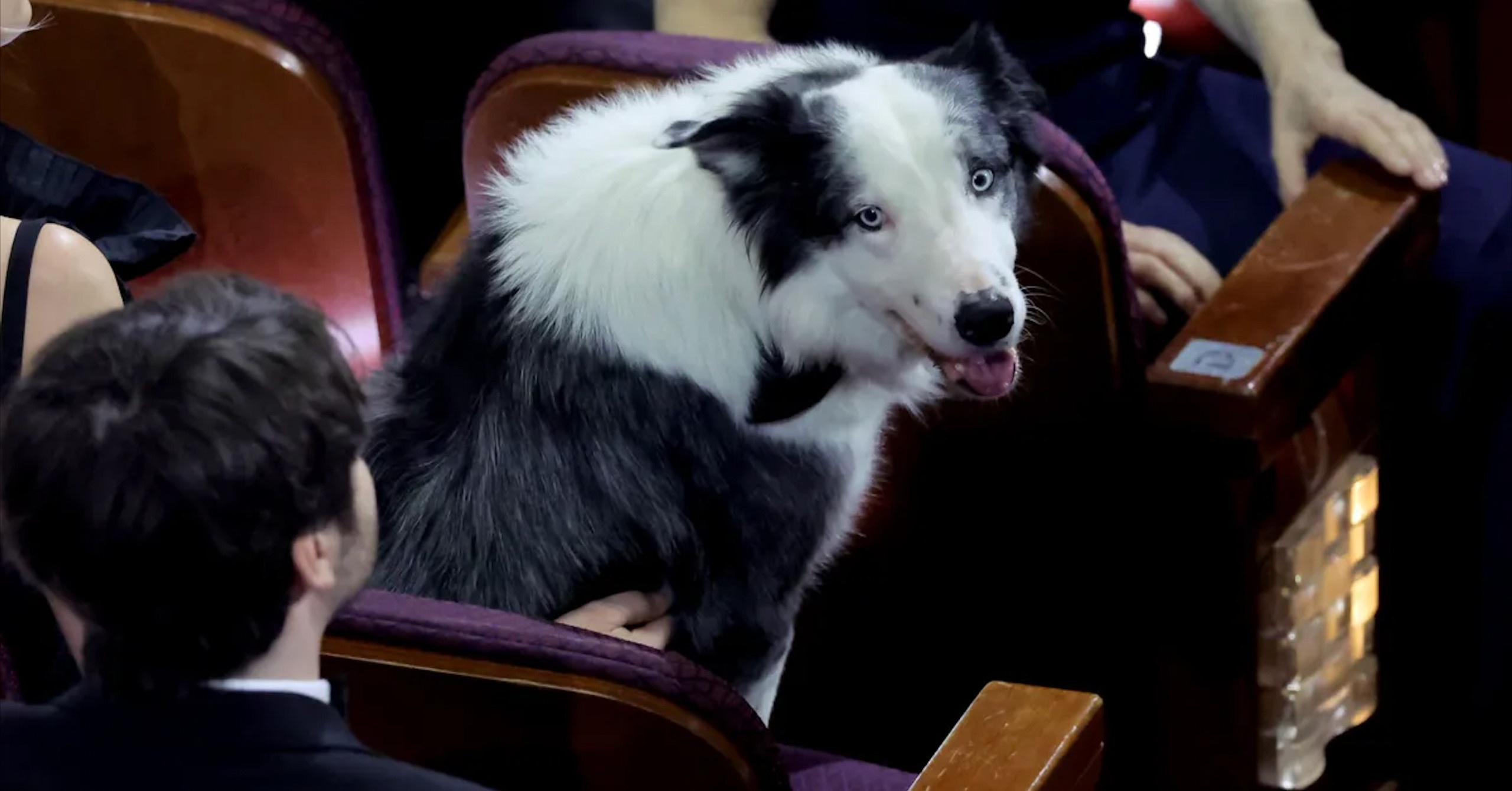 no khong lo,  chu cho Messi,  le trao giai Oscar anh 1