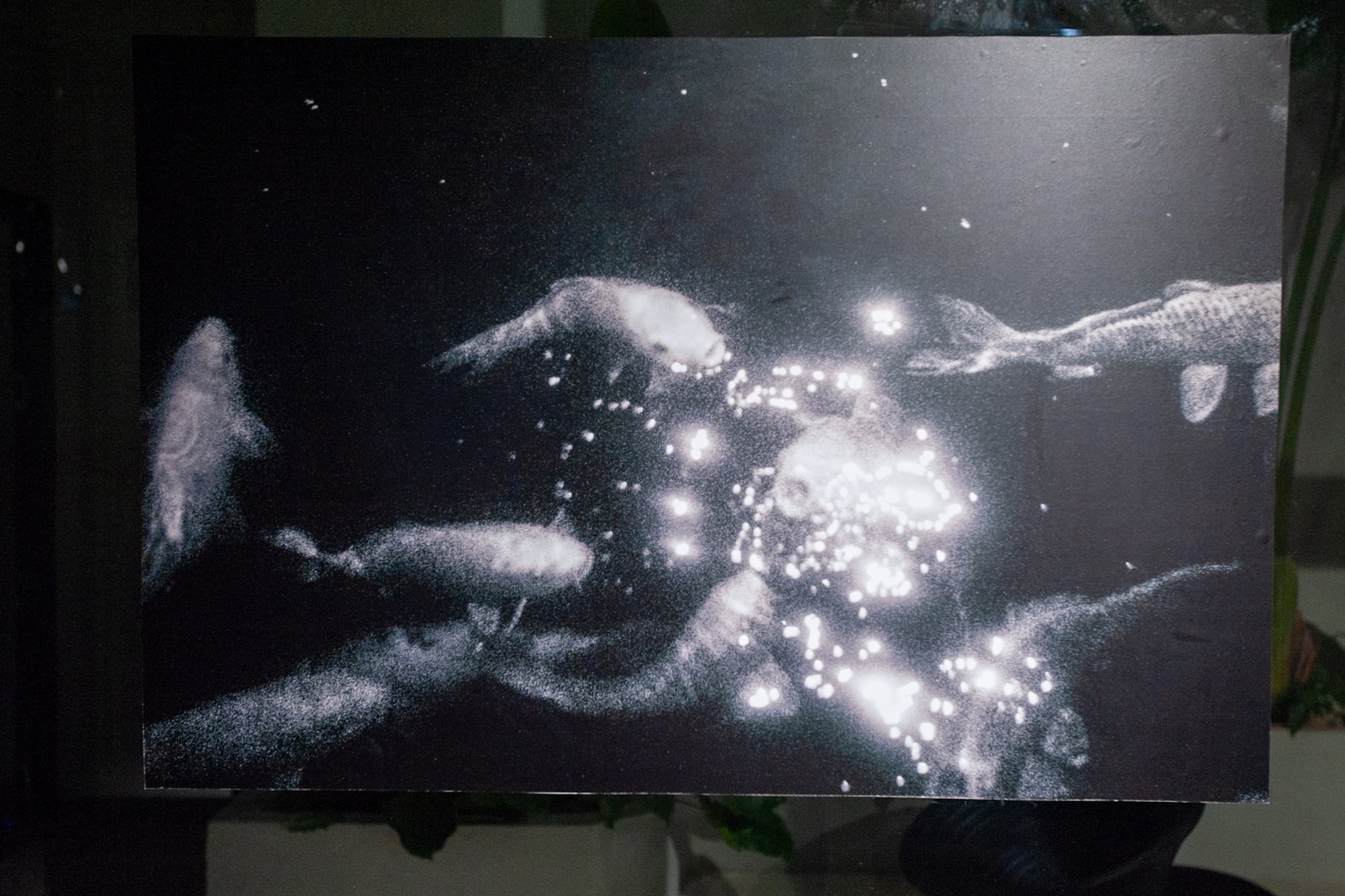 Mam Song Trong Dem,  Nguyen Phuong,  Toong,  nhiep anh gia,  trien lam nghe thuat,  dai hoc my thuat anh 8